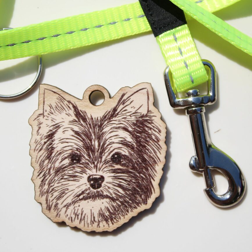 Parte frontal de una placas para perros