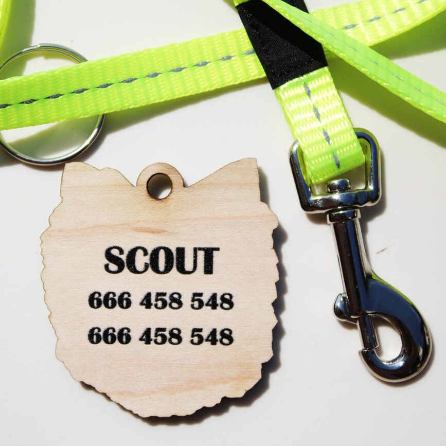 identificador de perro personalizado
