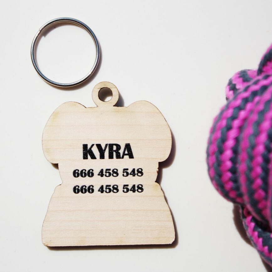 placa para perro personalizada