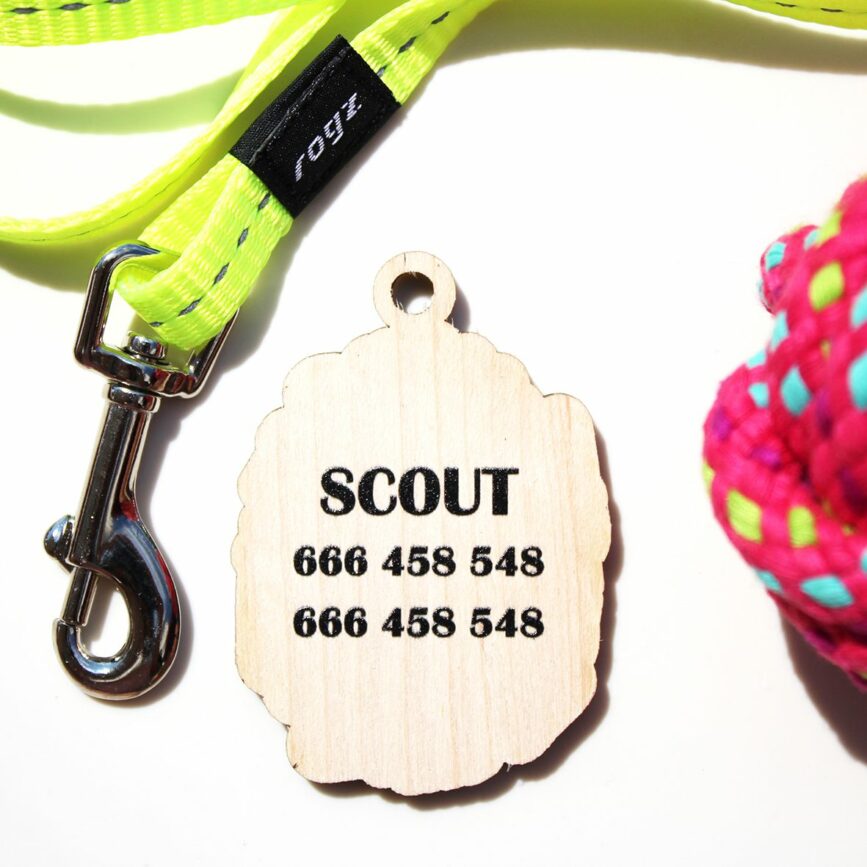 chapita para perro personalizada