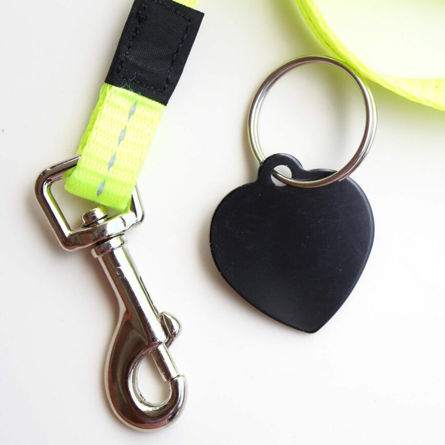 Placa con nombre para perro en forma de corazón