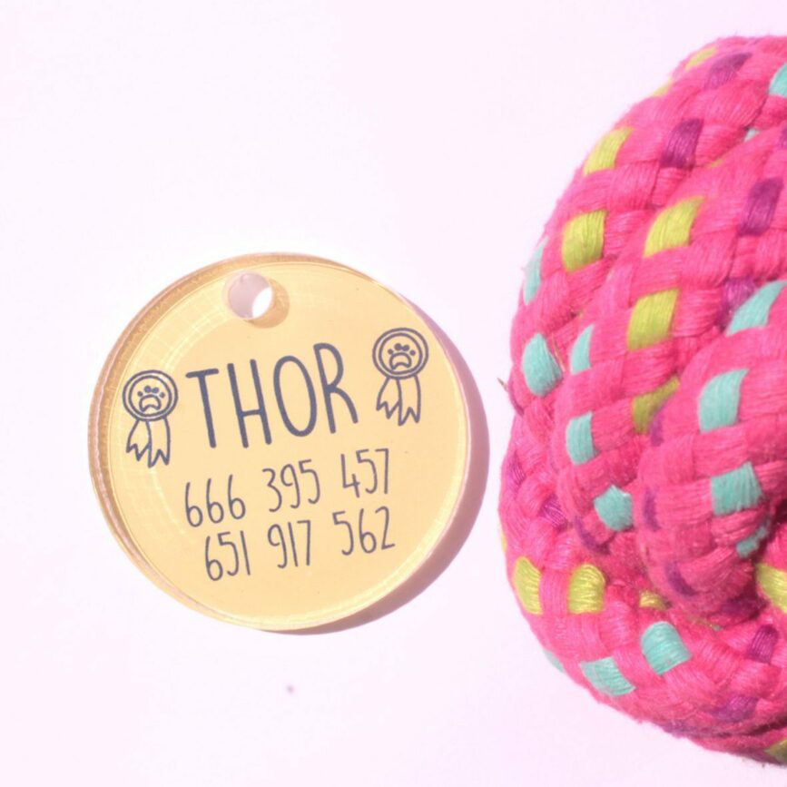 Placa para mascota personalizada en amarillo