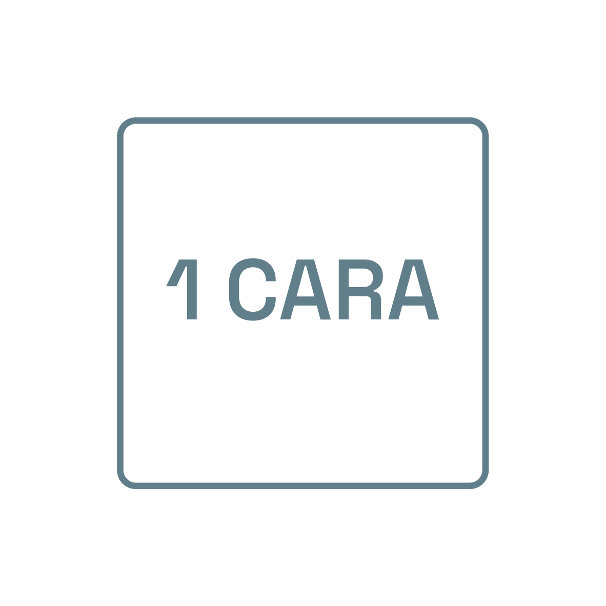 1 Cara