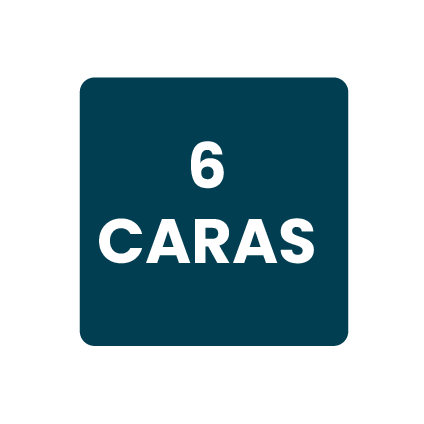 6 caras
